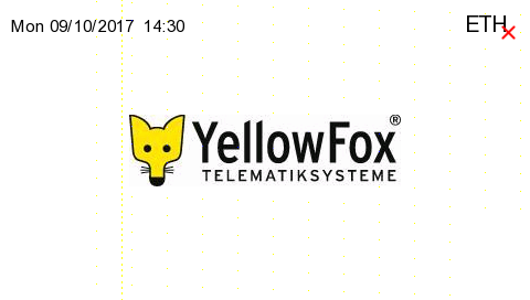 YellowFox%20Home.png